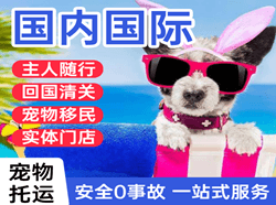 嘎洒航空快运国际宠物托运 【国